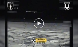 Вражеские разведывательные беспилотники Мерлин-ВР и Supercam сбили операторы зенитных дронов подразделения Signum