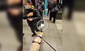 Пес все сделал без команды