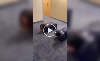 Студенты залезли в мешки и устроили необычный забег