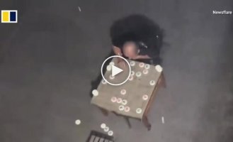 Шахматы под дождем