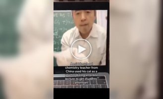 Chemistry teacher uses cat as a pointer during lecture