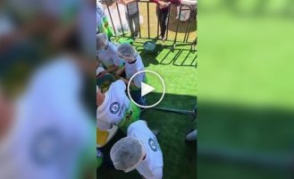 На мексиканском фестивале приготовили миску гуакамоле весом 6 тонн. Это мировой рекорд