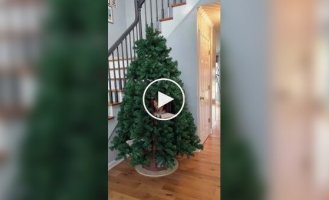 Новорічна ялинка для котів