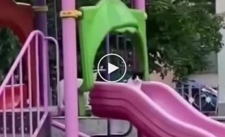 Коли в парку нікого немає, маленьке кошеня потай катається з гірки