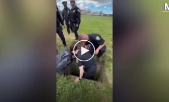 Полицейские Нью-Йорка спасли 11 утят, провалившихся в канализацию