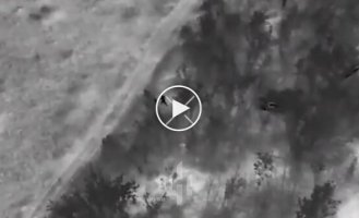 Оператор дрона-камикадзе одним ударом ликвидировал двух оккупантов, которые вылезли из перелеска