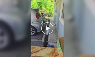 Кошка выбрала необычное место для сна