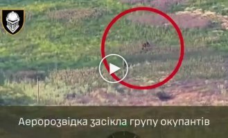 Наши защитники атаковали вражескую пехоту, нанеся по ним комбинированный удар из минометов и дронов