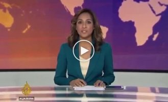 Крыса ворвалась в прямой эфир «Аль-Джазиры» и чуть не свела ведущую с ума