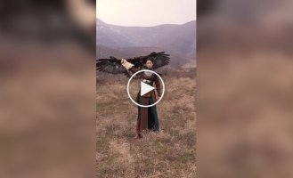 Настоящий грифон и какой-то жалкий орел