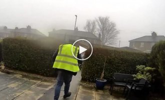 Кур'єр вкрав кішку клієнта і потрапив на відео