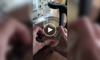 Завариваем чай с ромашкой, чтобы снять стресс