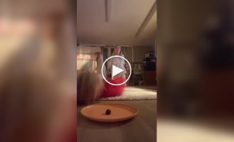 Дівчата втратили голову і... зуби в Челленджі з їжею