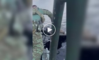 Раненого ягуара спасли из Риу-Негру