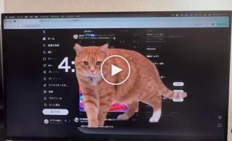 Забавное расширение для браузера, помогающее меньше сидеть в соцсетях