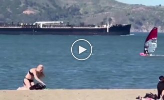 Windsurfer crashed into a whale in the US