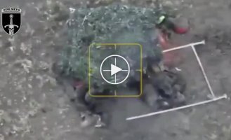 Two occupiers tried to crawl across a field on all fours undetected and get to Ukrainian positions