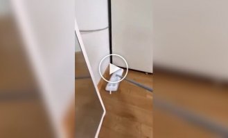 Странные видео (короткие видео). Выпуск 41