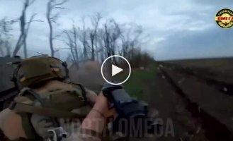OMEGA unit attacks Russian positions in the Zaporozhye region