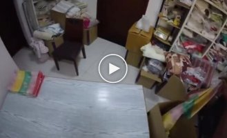 Искусственный интеллект обучается механике человеческих движений по видеороликам из Индии