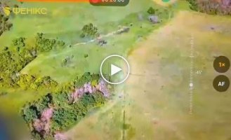 Прикордонники спалили по 2 машини та вантажівки окупантів, зупинили танк та БМП у Харківській області
