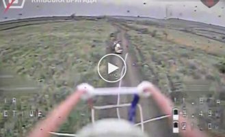 Бойцы 5-й ОШБр атаковали наземный дрон, укрытие с пехотой и мотоциклиста на Краматорском направлении