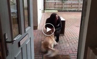 A surprise for a dog