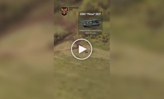 Ukrainian defenders discovered and struck a Russian self-propelled artillery unit Pion