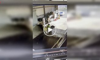 Вывоз мусора пошел не по плану