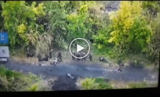 12 российских военных сдались в плен после работы украинского оператора дрона в Сумской области