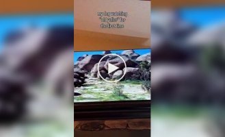 Настоящие эмоции: собака полностью погрузилась в сюжет фильма