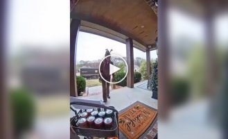 Drinks for a courier and her reaction