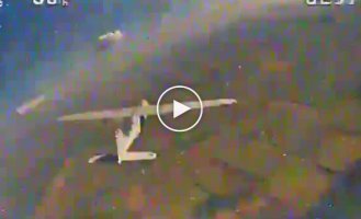 Ukrainian kamikaze drone destroys a Russian Orlan-10 reconnaissance UAV in the air