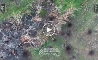 Бійці 3-ї ОШБр зачистили позиції ворожої піхоти та ліквідували російських загарбників