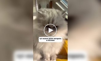 Сучасна квартира парижанина