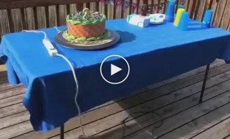 creative birthday cake
