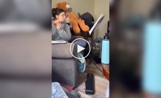 A cat interfered with a rehearsal