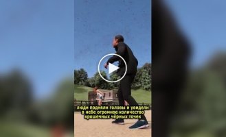 Как пауки путешествуют на дальние расстояния