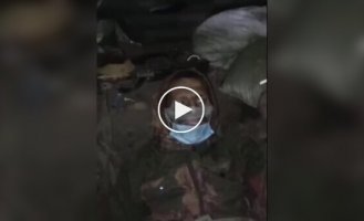 Two occupiers in the Zaporozhye region sit around the clock in a dugout next to the corpses of Russians