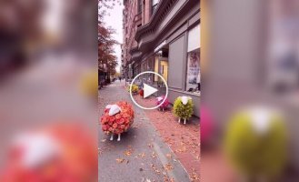 Цветочные овцы у магазина в Нью-Йорке