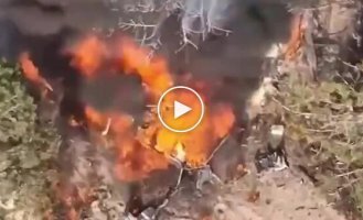 На Кинбурнской косе воины ССО нанесли удар по вражескому транспорту: произошла детонация Источник