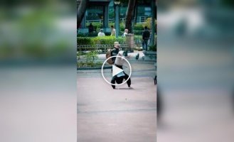 Прогульщики зажигают: школьники устроили танцы в парке