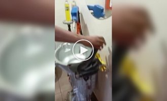 Автомобильное видео (короткие видео). Выпуск 23
