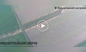 Ukrainian defenders destroy Russian Smerch MLRS in the Zaporozhye direction