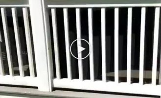 Всегда будь готов к удару