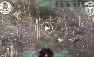 An FPV drone of the 47th Mechanized Brigade destroyed two invaders in their hole in the Avdeevsky direction