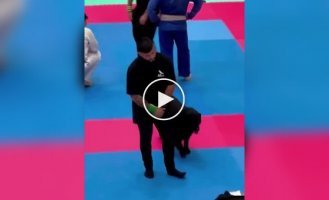 The dog decided to help his owner at a jiu-jitsu competition