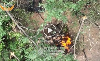 A Russian caught fire and died in a trench after being dropped by a Ukrainian drone