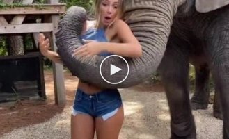 An encounter with an elephant took an unexpected turn