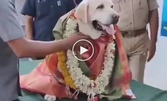 In India, a sniffer dog who worked for 12 years in the police was retired